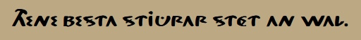 stuurman.jpg