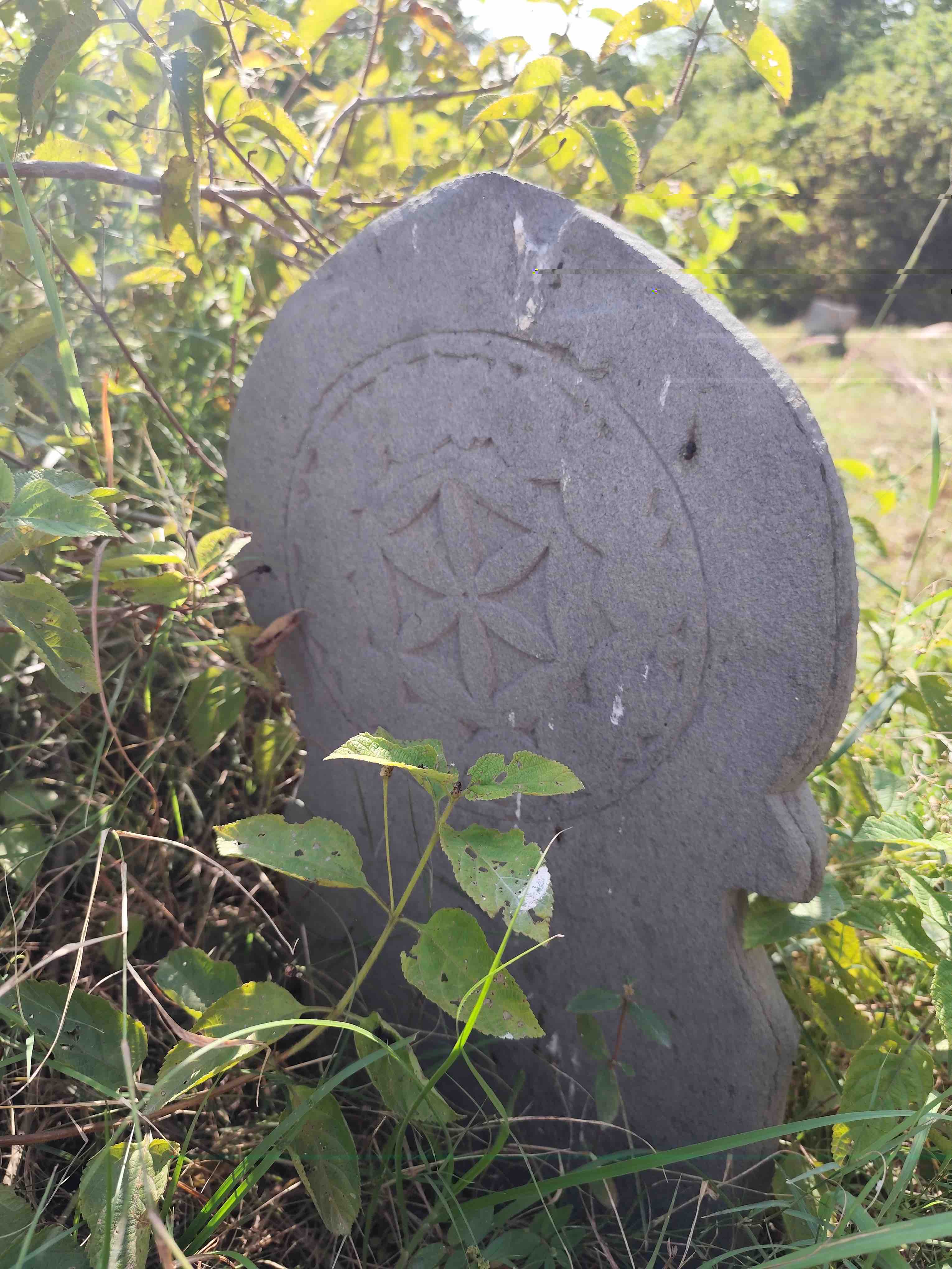 Dargai Oera Linda graves 15_13Oct24.jpg