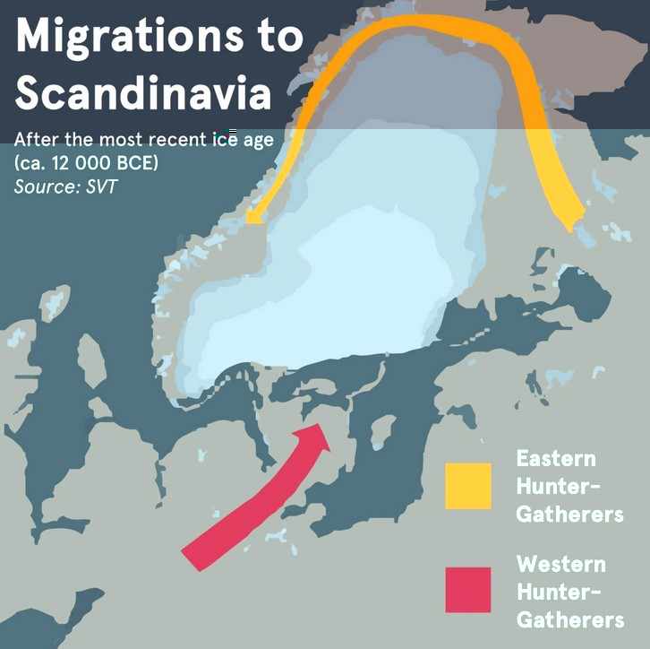 WHG root of Scandinavians .jpg