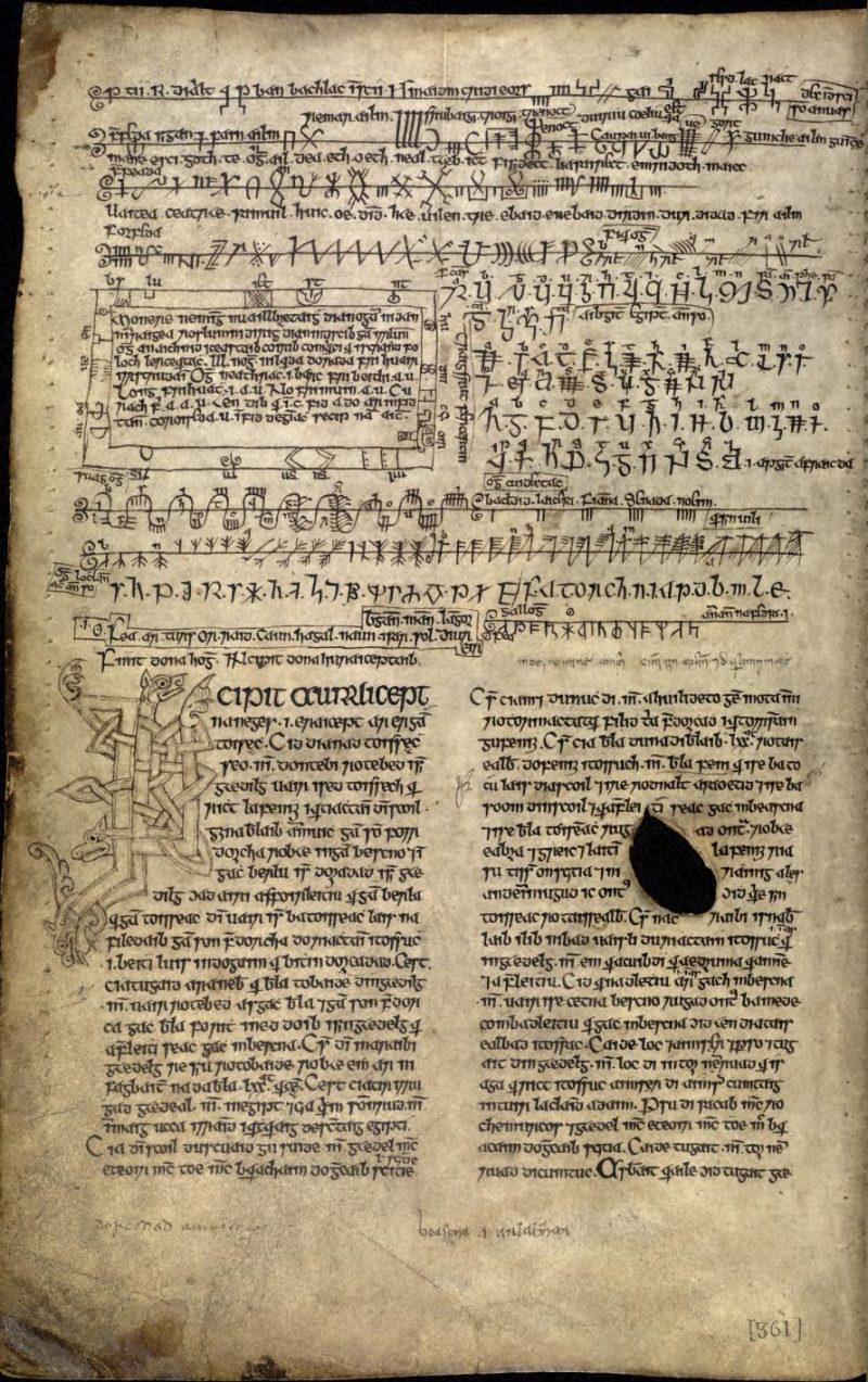 Beginning of Auraicept na nÉces in the Book of Ballymote.